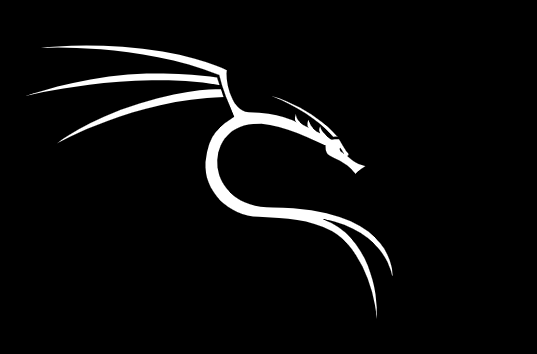 Kali Essentials - Hands-On